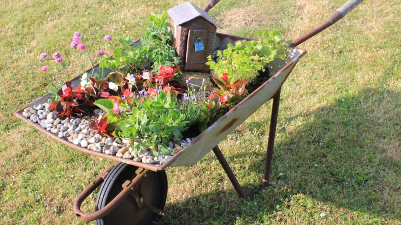Best Wheelbarrows For Backyards 1 Types of wheelbarrows for backyard
