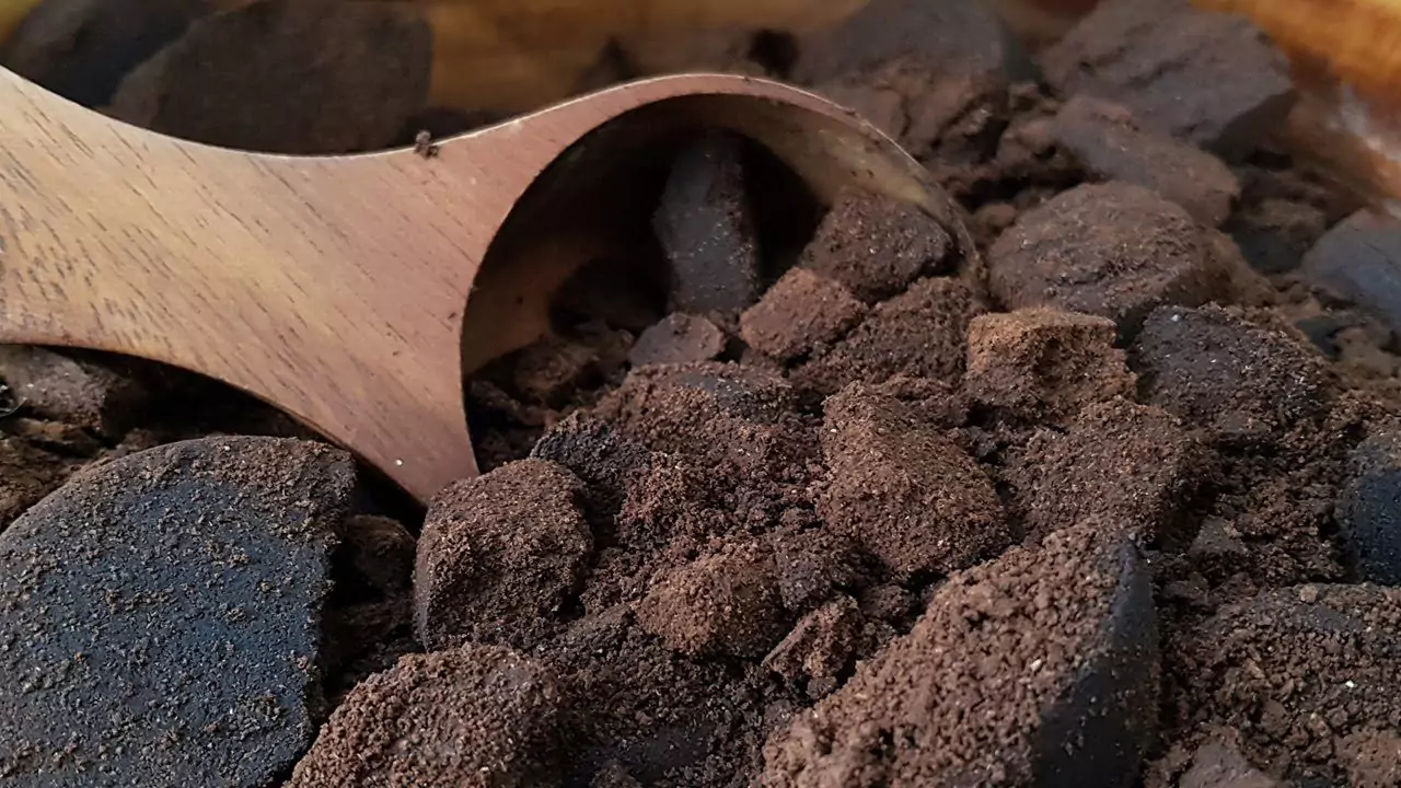 How to Get Rid of Rabbits without Killing Them (Harmless Methods) 2 Used ground coffee