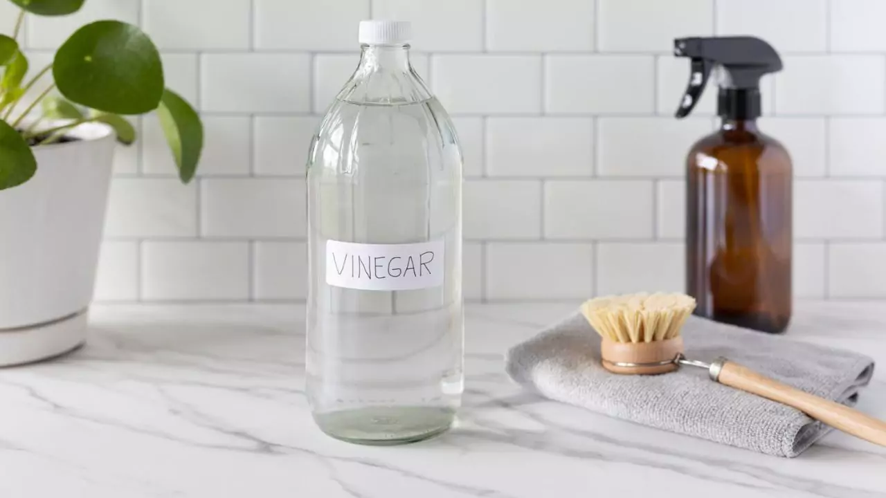 How to Get Rid of Rabbits without Killing Them (Harmless Methods) 5 Vinegar paste