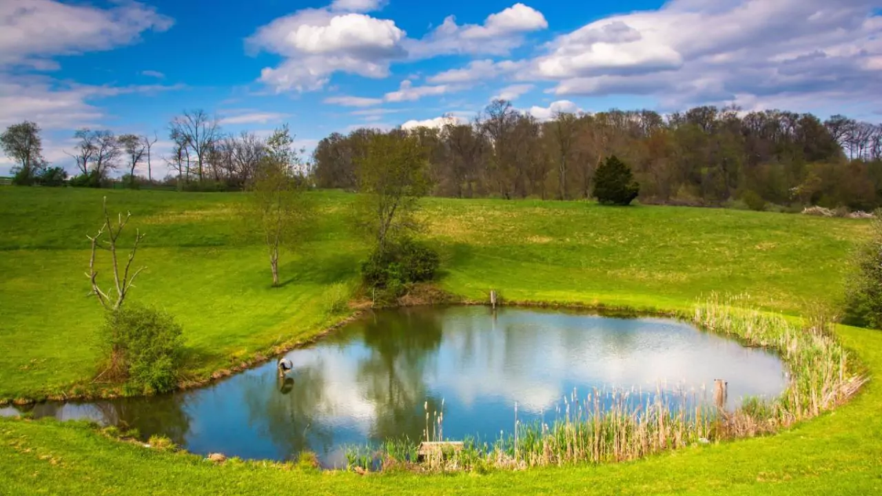 Complete Guide to Farm Ponds 1 What is a farm pond