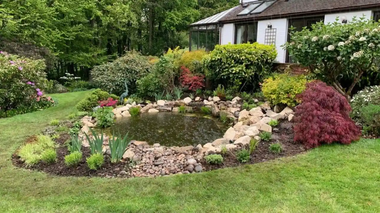 Wildlife pond garden