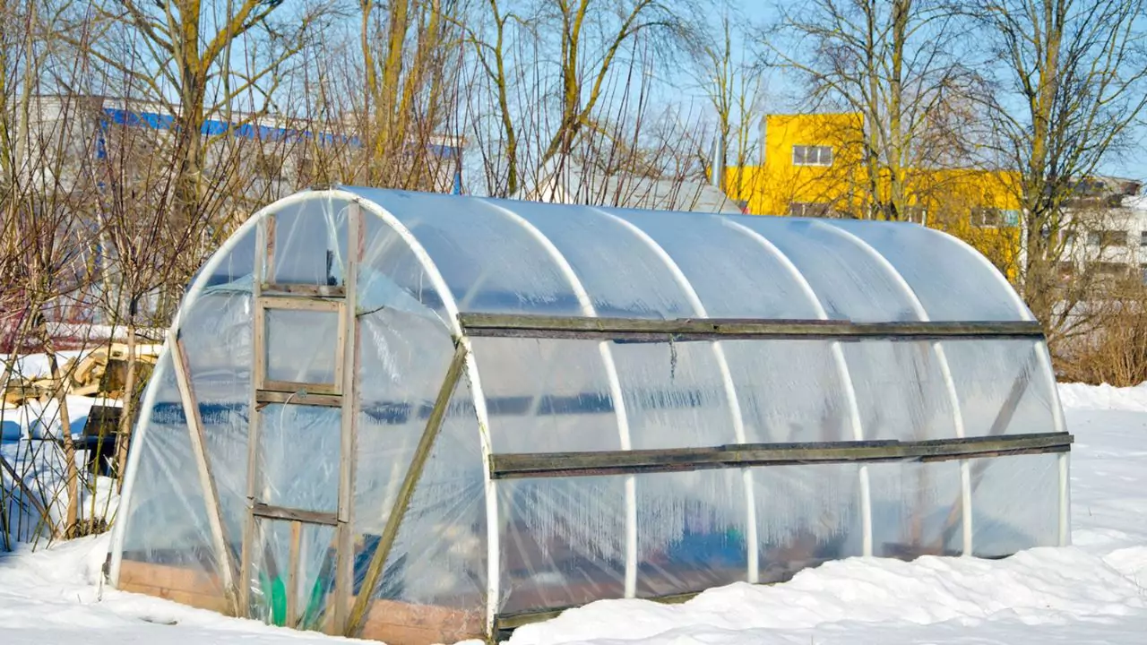 What To Grow In Greenhouse In Winter 2 Winter greenhouse tips 1