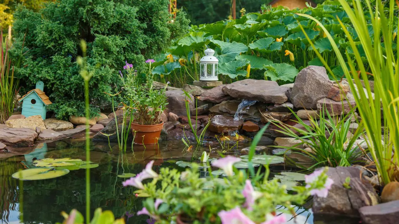 Your Advantage When Building a Pond