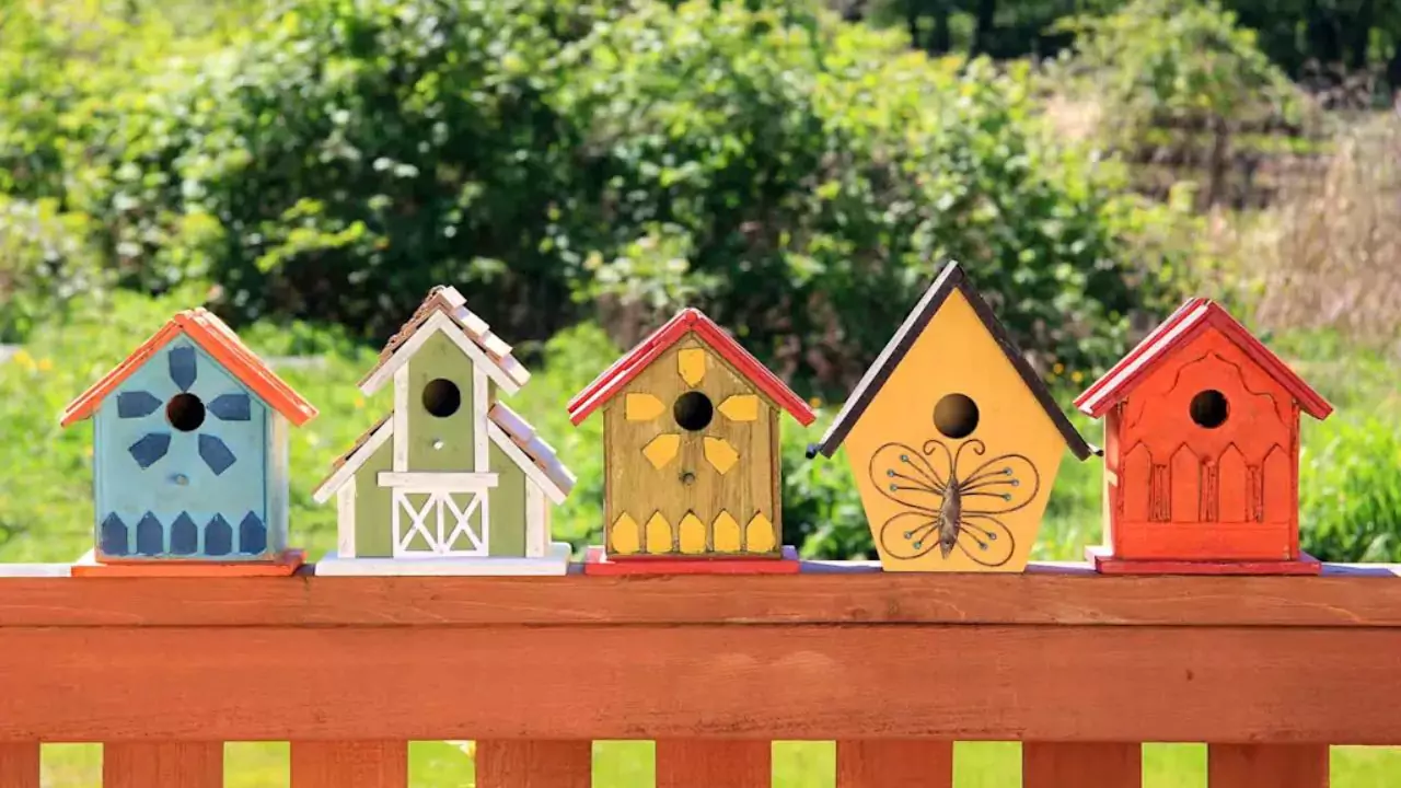 birdboxes 1