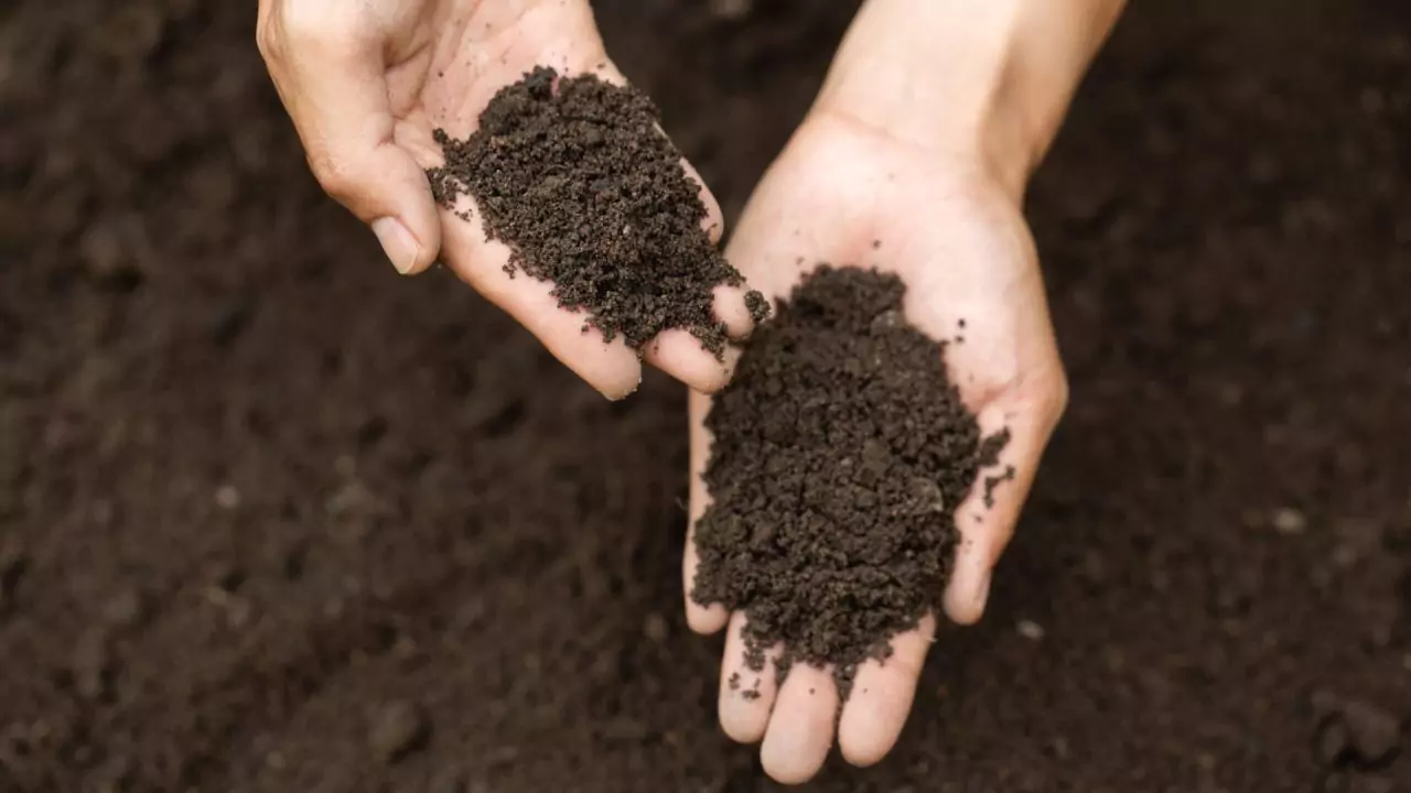 compost by analyzing its structure