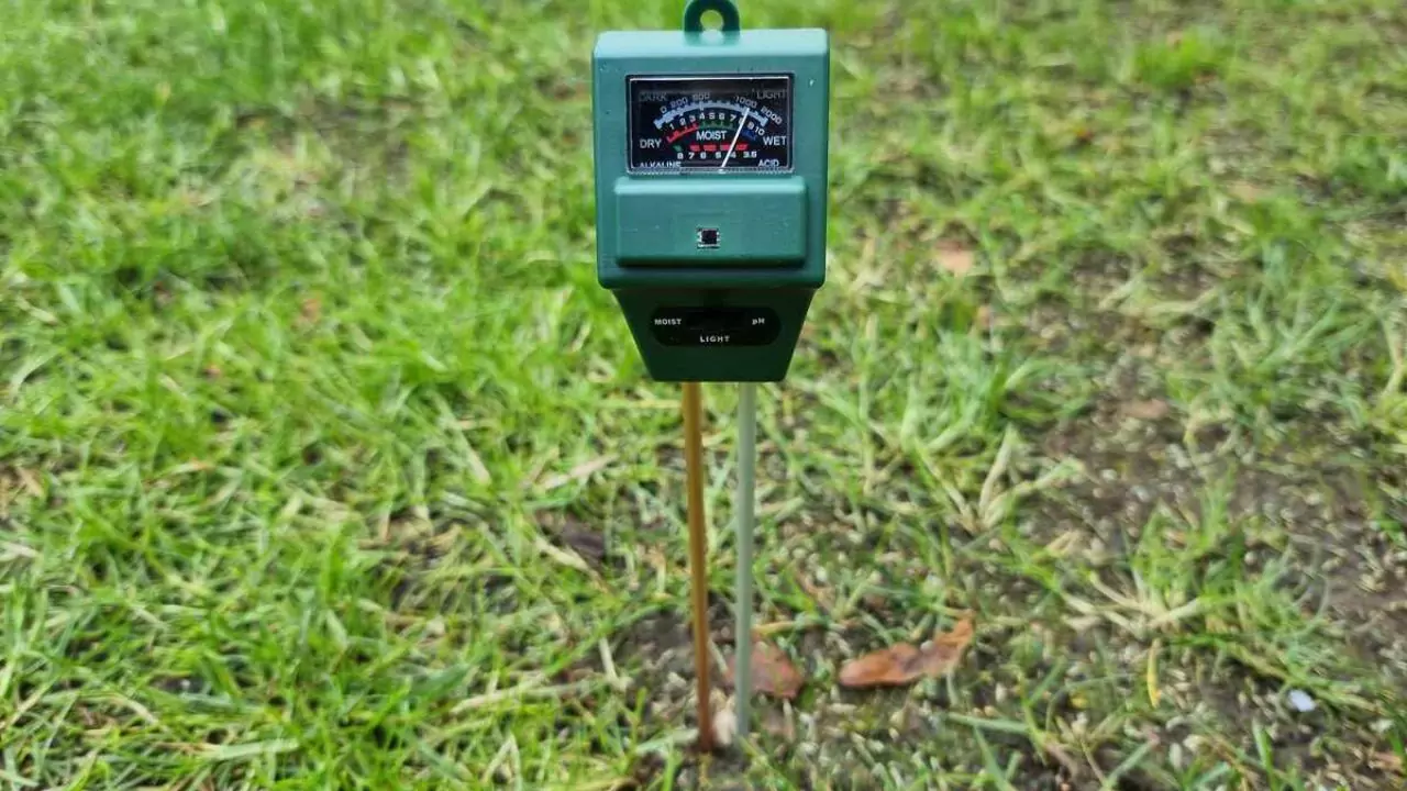 measure soil moisture