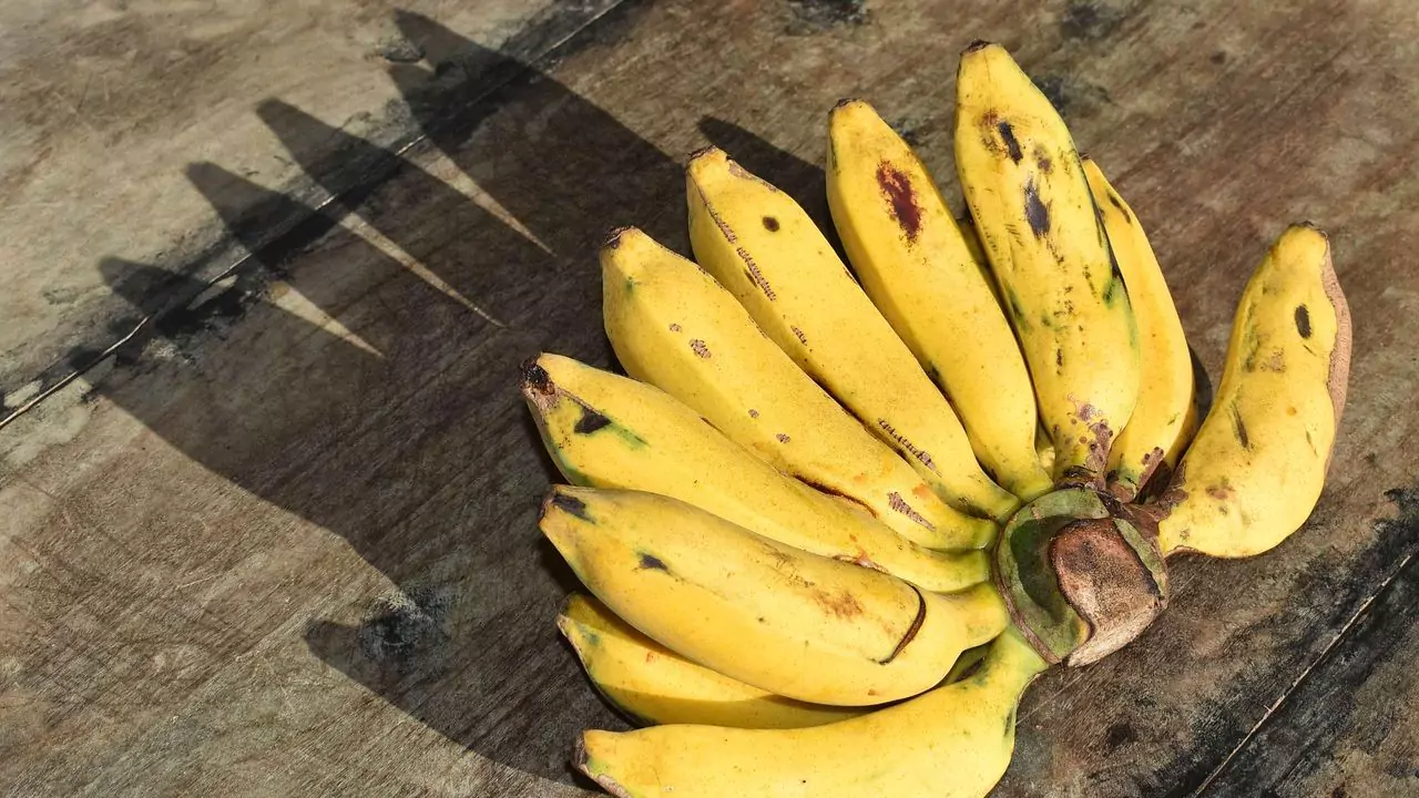 organic banana 1