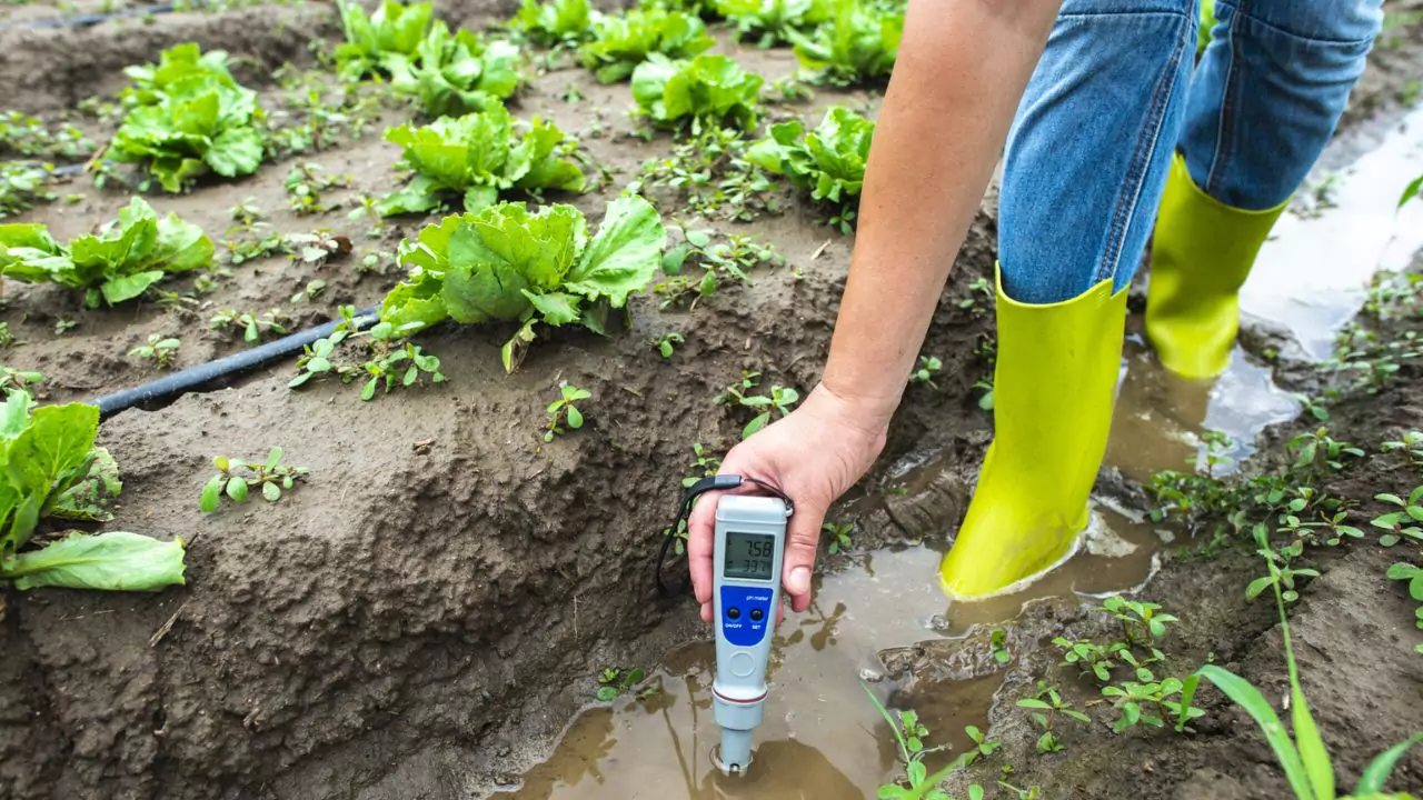 pH in hydroponics