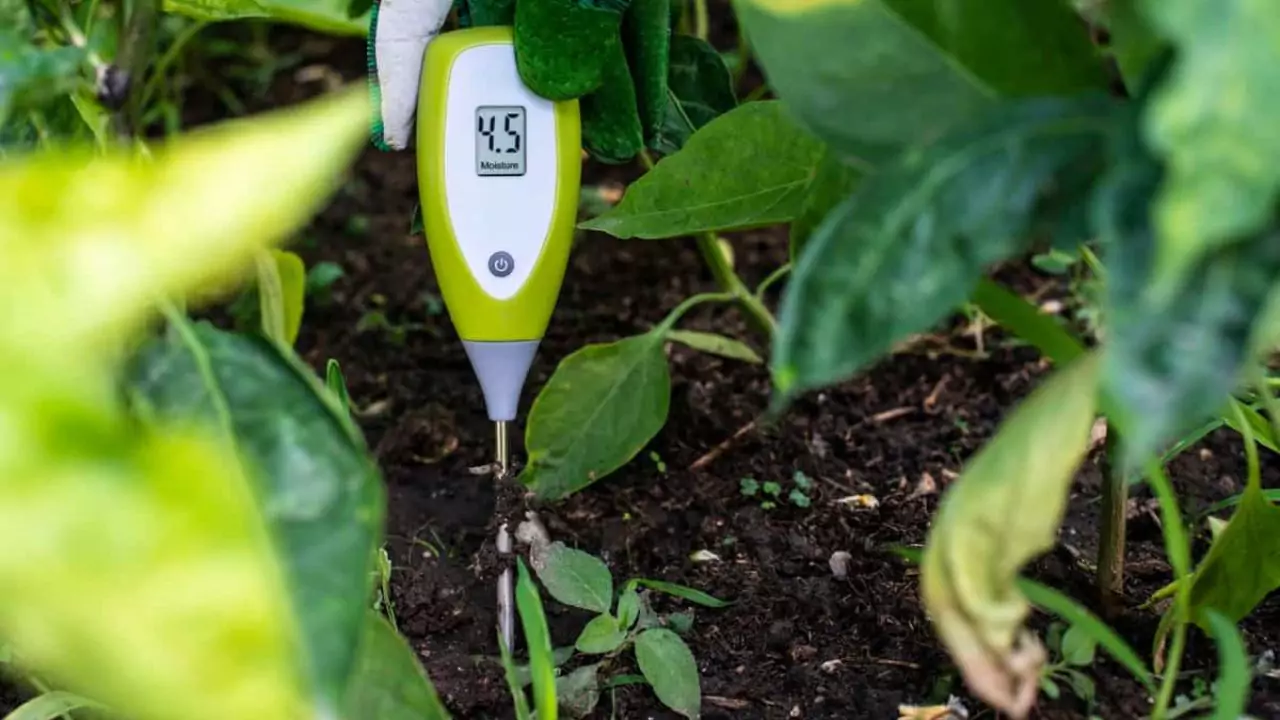 soil sensor