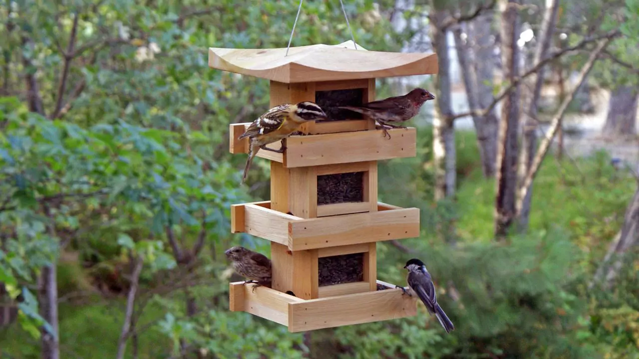 Bird table 2