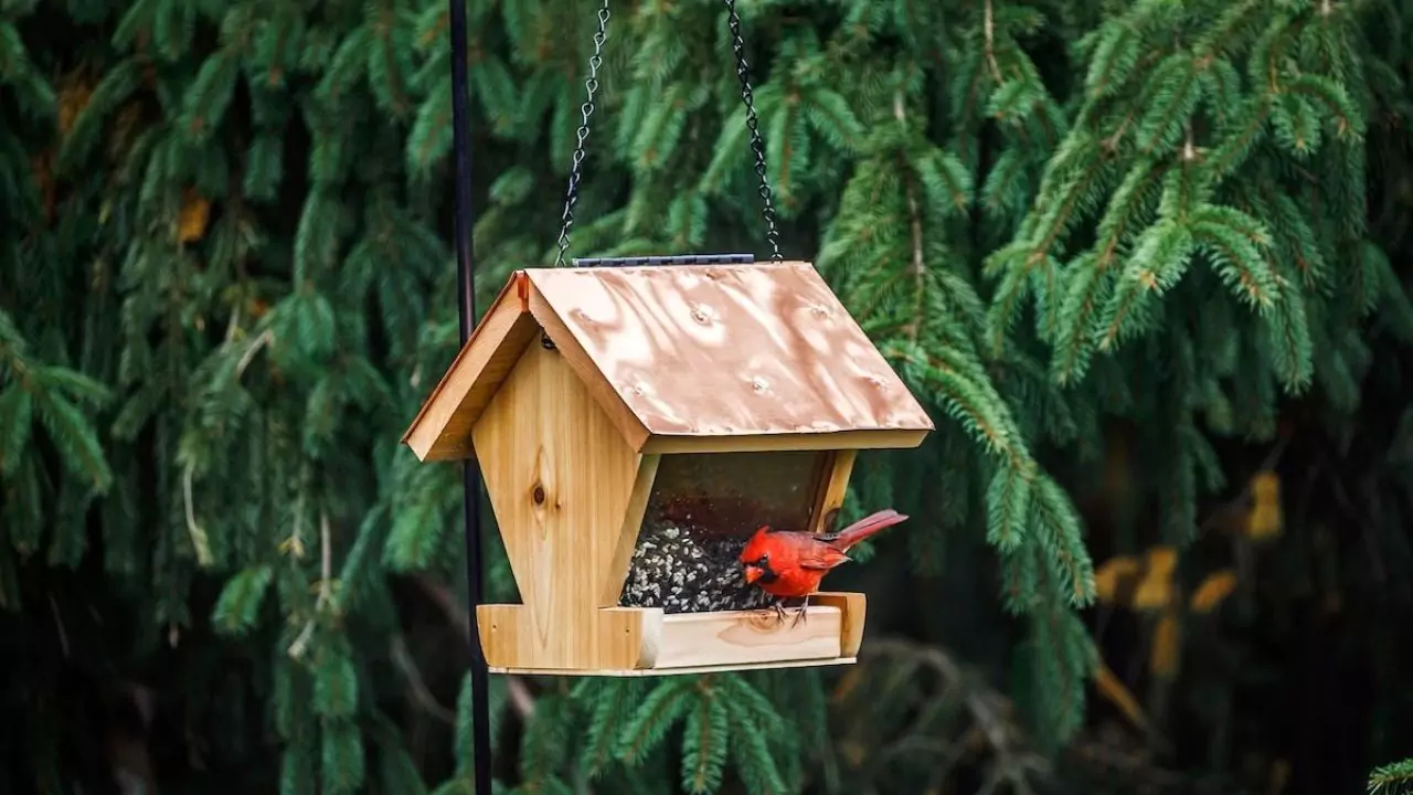 Bird table