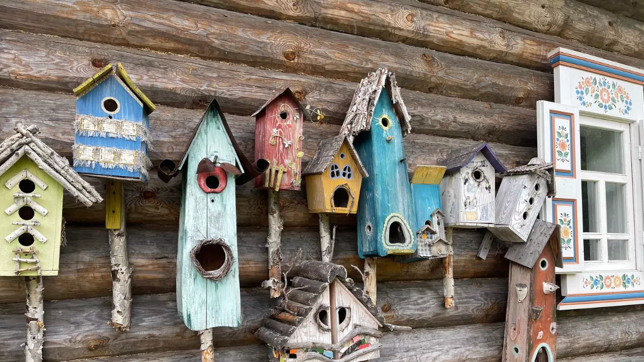 Complete Guide to Garden Bird Nest Box Size and Dimensions 3 Can you put birdboxes next to each other