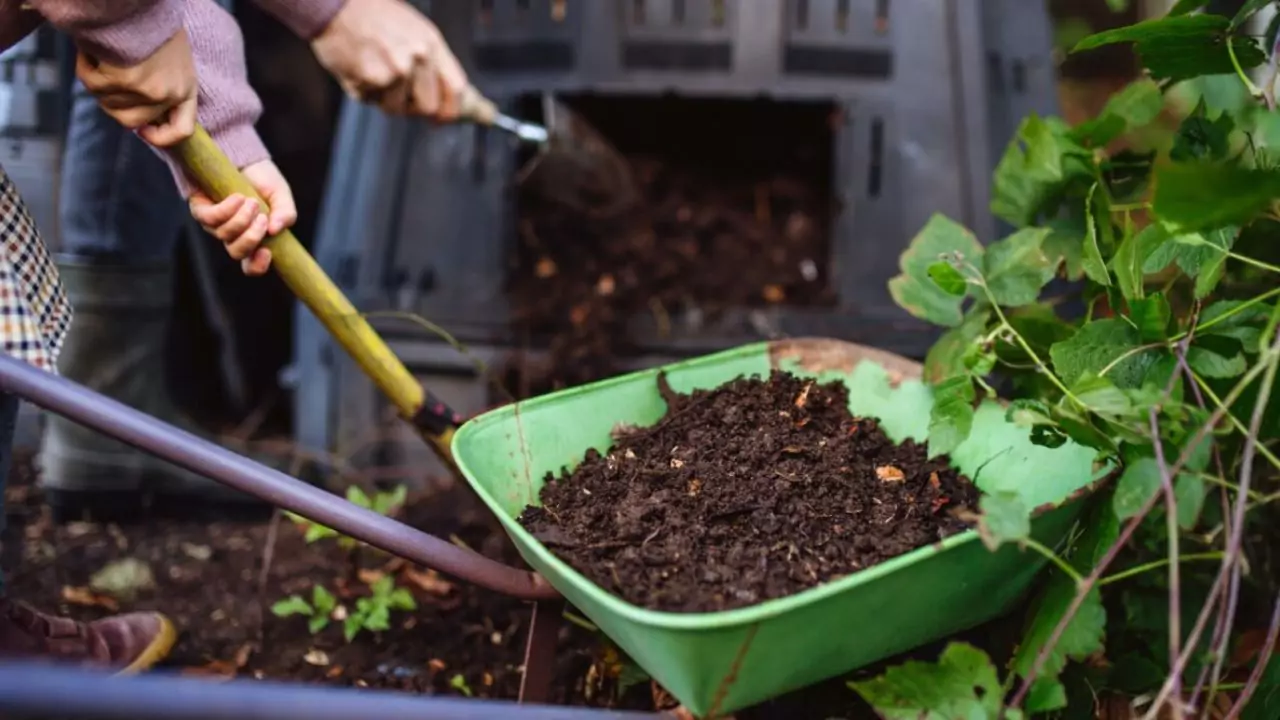 Compost bin