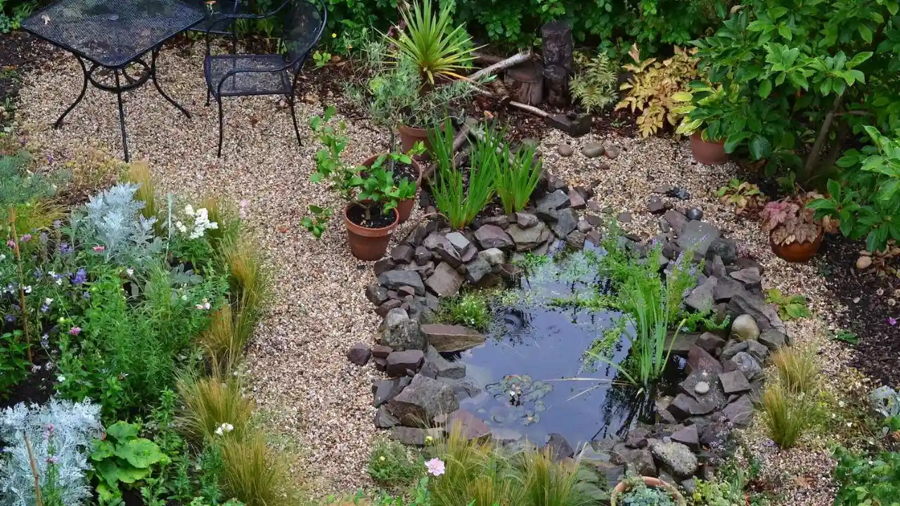 How Do Pond Plants Get Nutrients? 7 Tiny pond