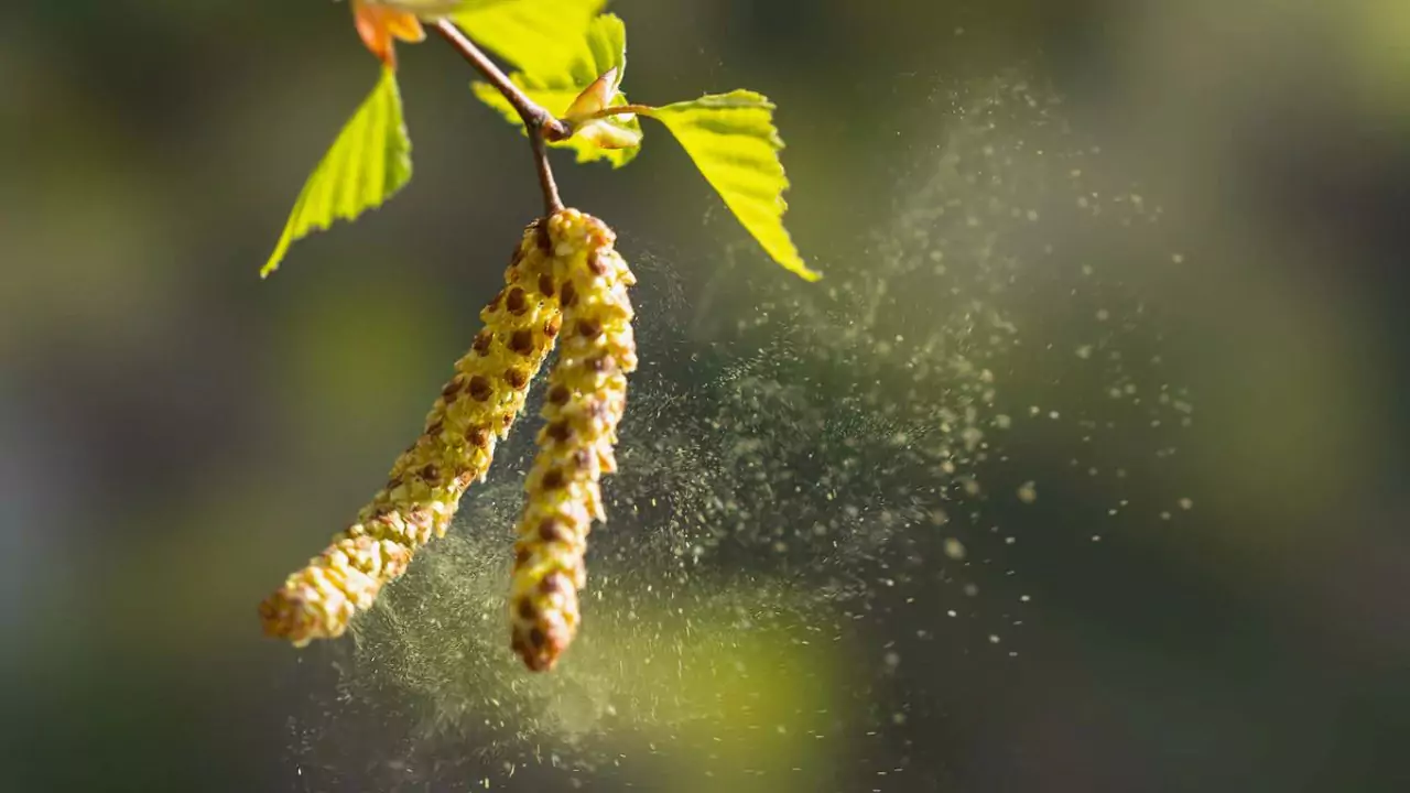 When Does Pollen Season Start