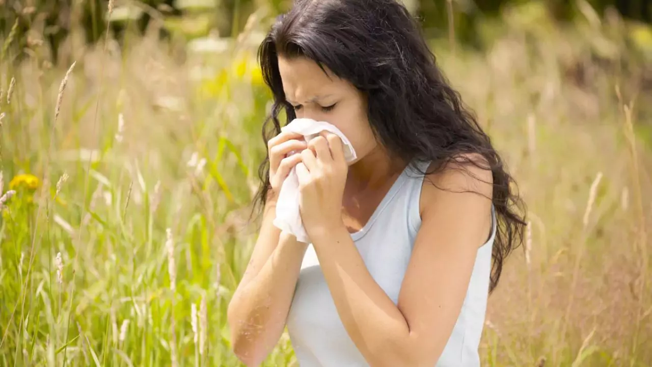 Why Does Pollen Cause Allergies